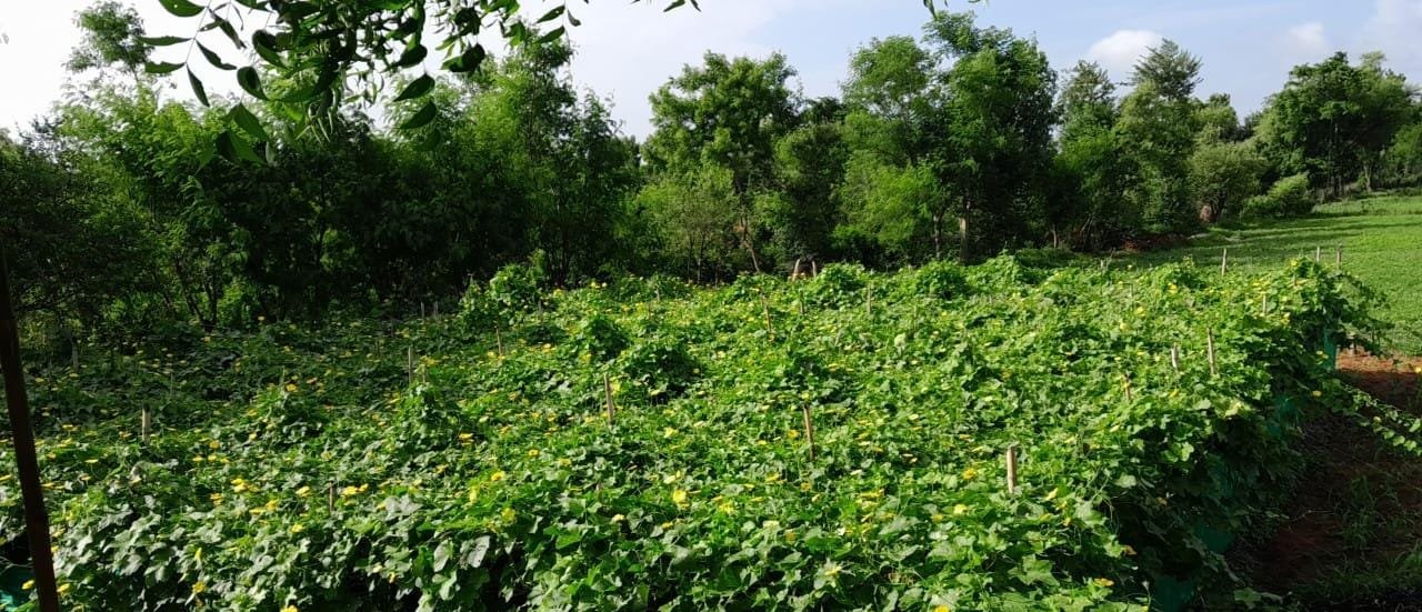 WhatsApp Image 2025-08-05 at 1.00.59 PM