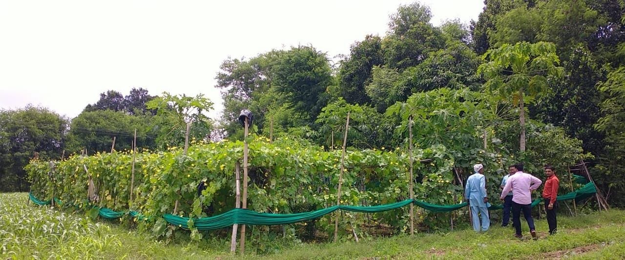 WhatsApp Image 2025-08-05 at 1.01.07 PM