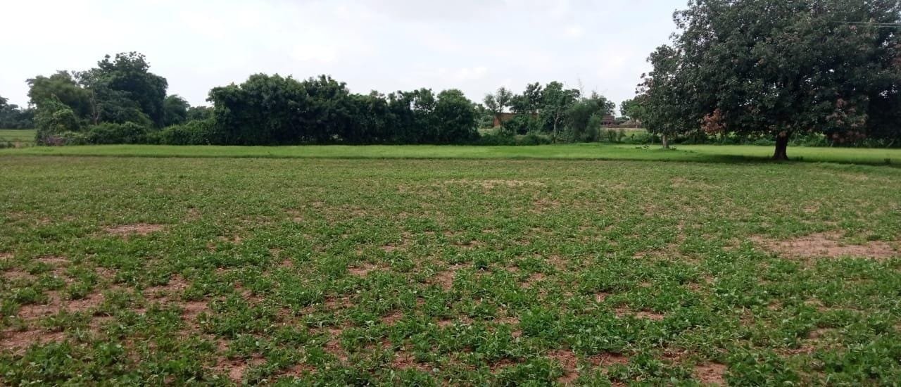 WhatsApp Image 2025-08-05 at 1.01.10 PM