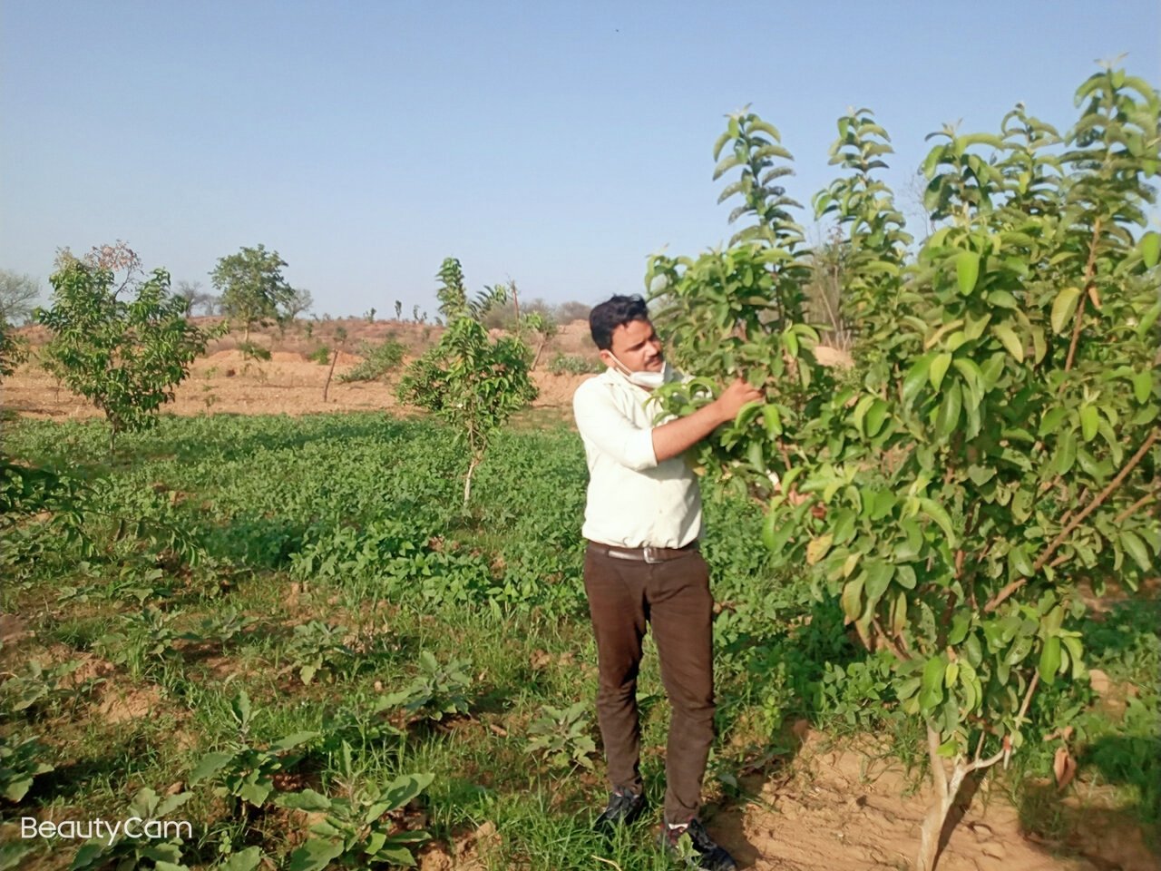 WhatsApp Image 2025-08-05 at 1.01.14 PM